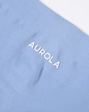 AUROLA Impressive Workout Shorts